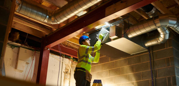 Best Dryer Vent Cleaning Services  in Lacoochee, FL