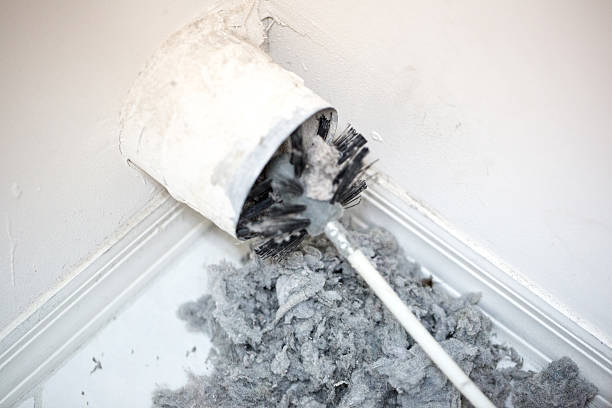 Best Local Air Duct Cleaning Services  in Lacoochee, FL